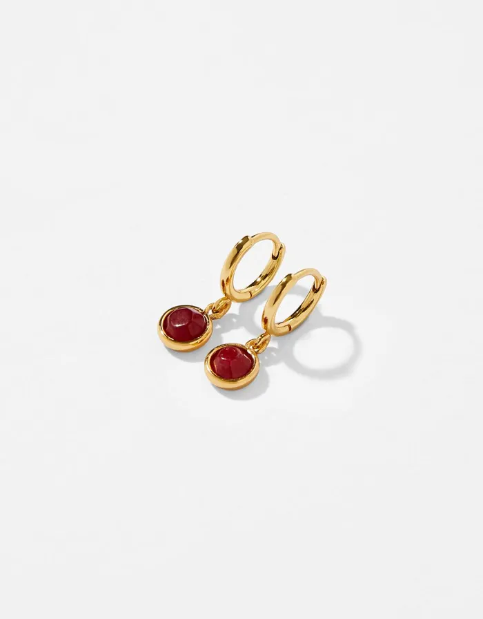 Accessorize GoldPlated Birthstone Earrings 8211 January Women Earrings