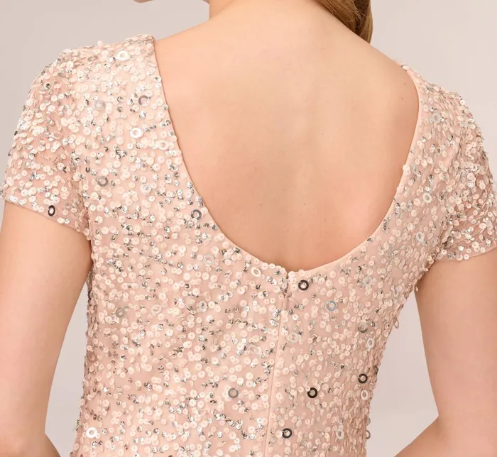 Adrianna Papell Formal Dresses Scoop Back Sequin Gown In Blush 8211 Women