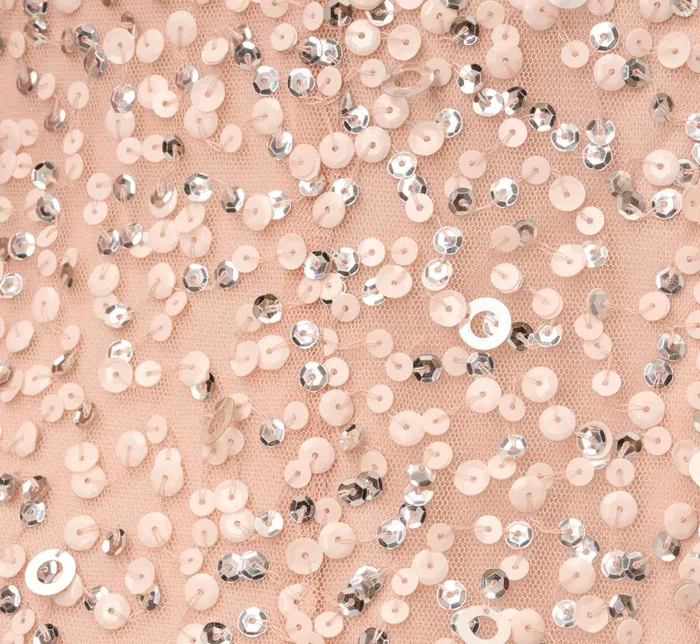 Adrianna Papell Formal Dresses Scoop Back Sequin Gown In Blush 8211 Women