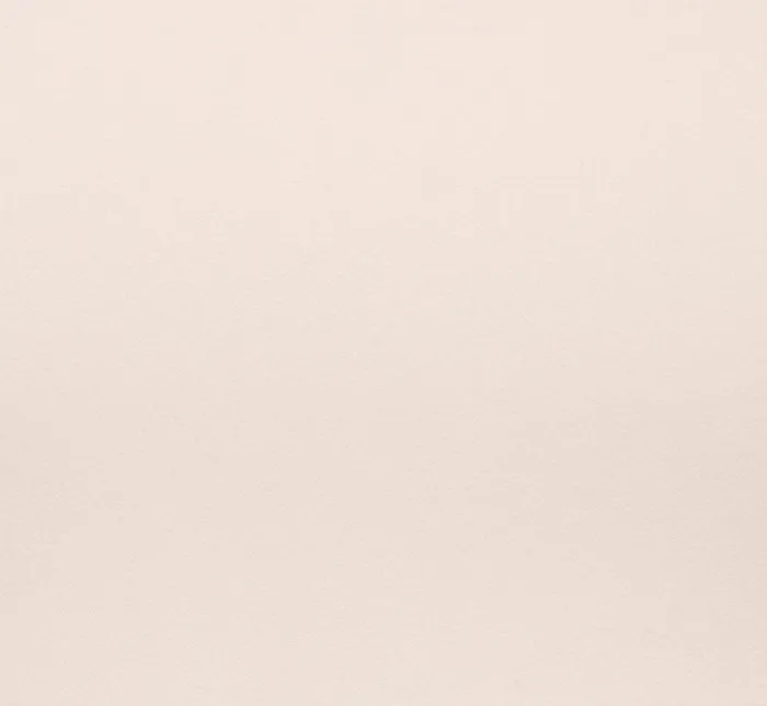 Adrianna Papell PetiteFriendly Knit Crepe Midi Dress With Feather Shoulder Accents In Ivory 8211 Women