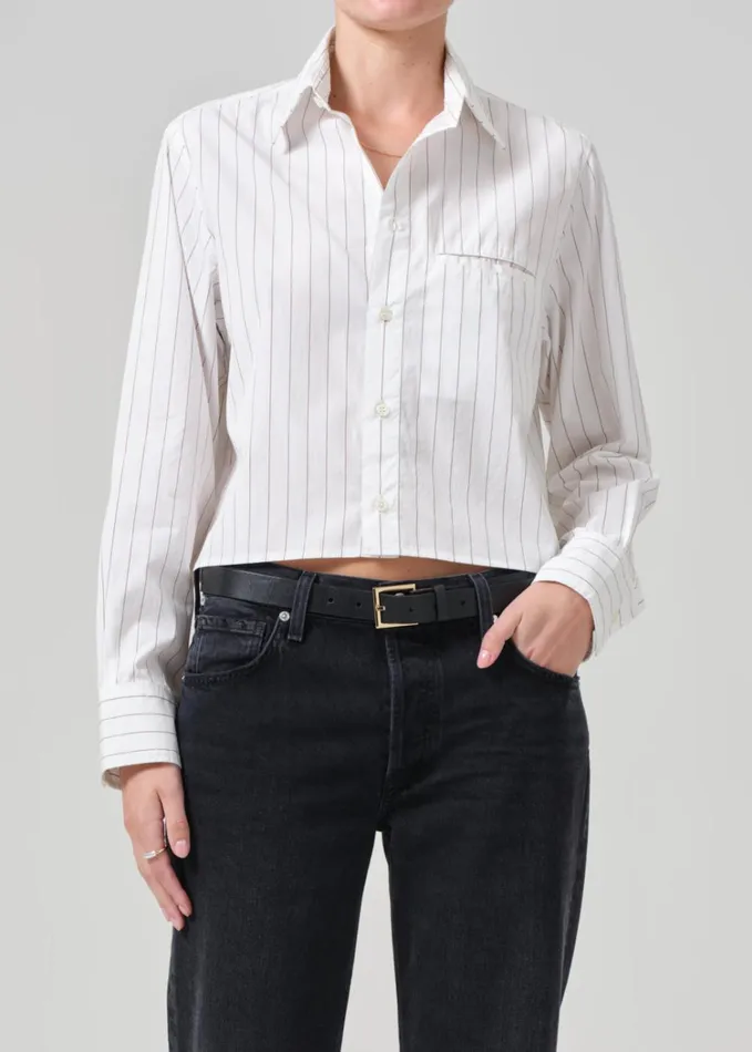 Citizens Of Humanity Fino Cropped Shirt In Clove Stripe Women Tops
