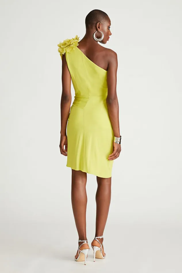Dresses Women Halston Marca Dress In Jersey Orchid Green