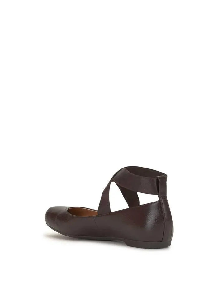 Flats Shoes Jessica Simpson Mandalaye Ballet Flat In Ganache