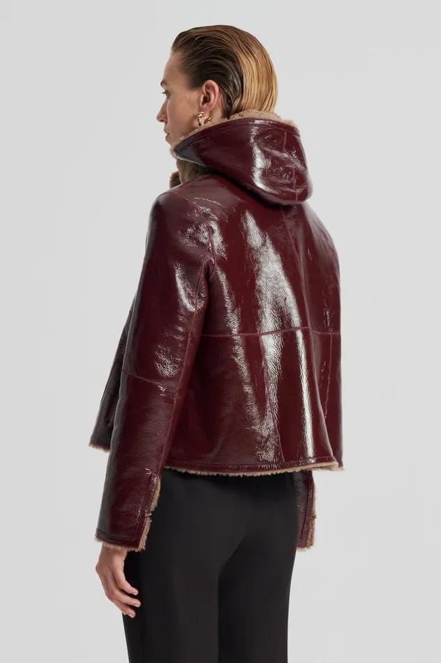 Leather SHEARLING JACKET RASBRRYCAMEL Scanlan Theodore Women Leather SHEARLING JACKET RASBRRYCAMEL Scanlan Theodore Women