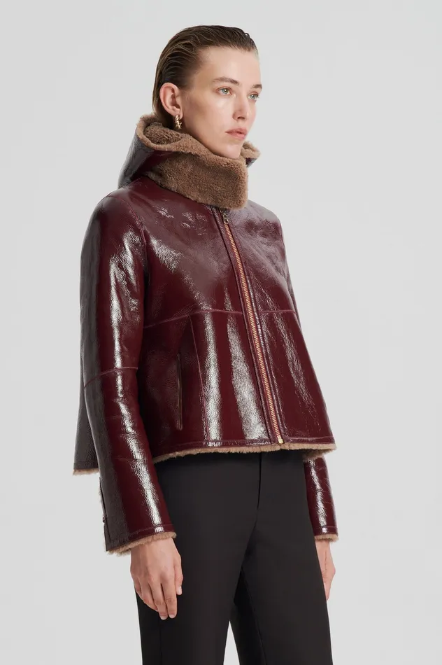 Leather SHEARLING JACKET RASBRRYCAMEL Scanlan Theodore Women Leather SHEARLING JACKET RASBRRYCAMEL Scanlan Theodore Women