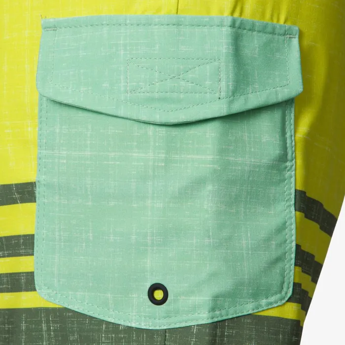 Reef Shorts Boardshorts and Pants Men Casey Stripe Boardshort 17034 Fair Green Reef Shorts Boardshorts and Pants Men Casey Stripe Boardshort 17034 Fair Green