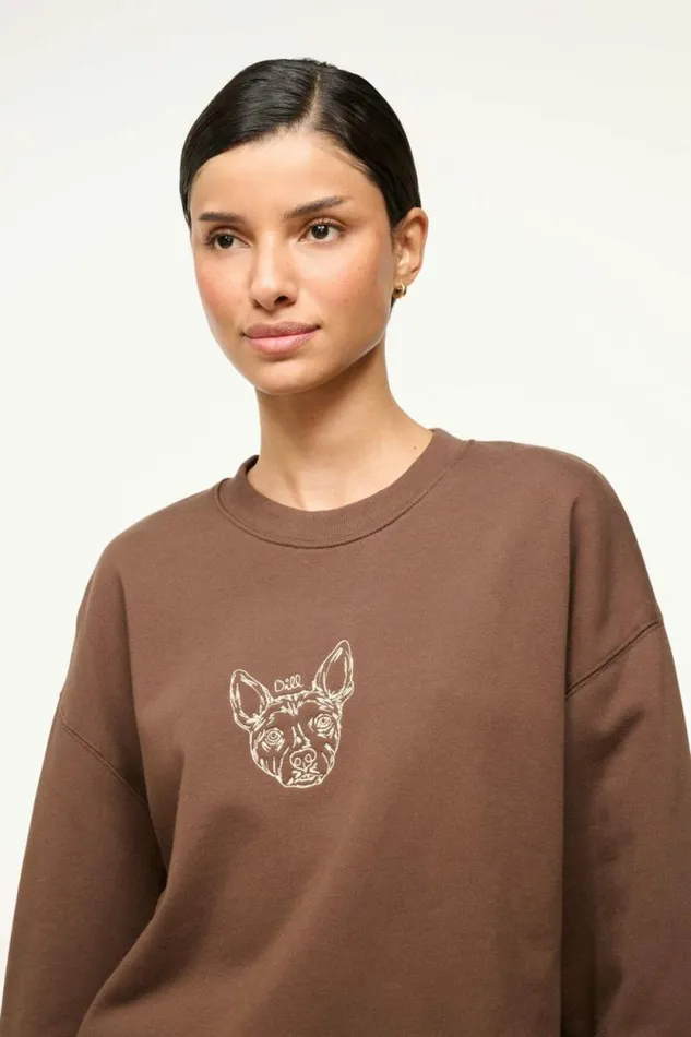 STAUD Custom Clothing CUSTOM X CBONZ OVERSIZED SWEATSHIRT Brown 8211 Pet