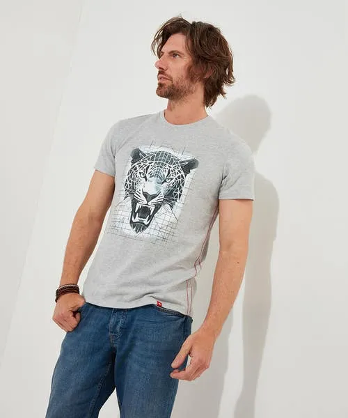 TShirts and Tops Apparel Ice Cool Tee Grey Joebrowns