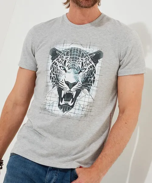 TShirts and Tops Apparel Ice Cool Tee Grey Joebrowns