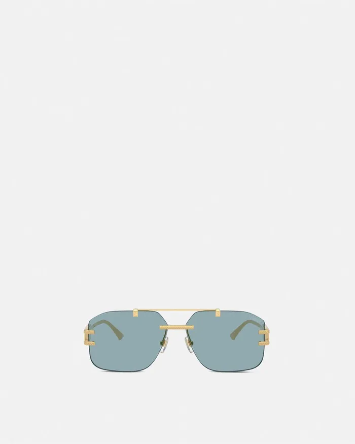 Versace Sunglasses Men Damier Plaque Sunglasses Blackgold